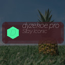 dyzekoe.pro